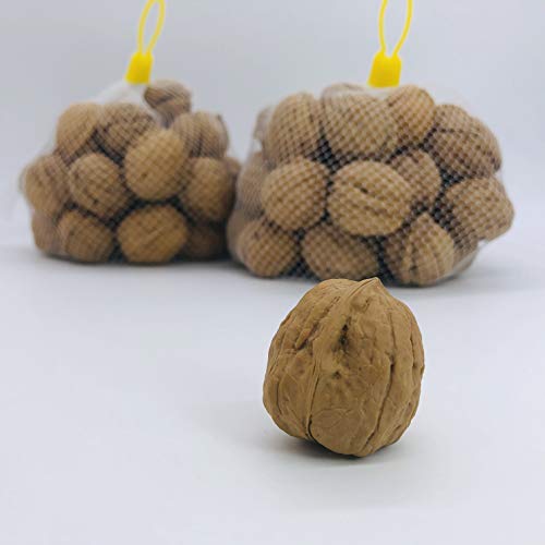 Y kt^Cv yLTCYzy1kgz YҒ Y MZ 쌧Y N~  ibc