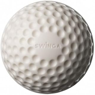 SG Swinga Cricket Practice Ball Price In India