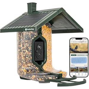 Scout Wi-Fi Solar Powered Smart Bird Feeder – Automatically Captures HD Pictures and Videos! Best Gift for Bird Watchers! Dual Seed Chamber – Feather Snap