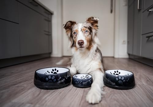 Hundenapf für Kleine und Große Hunde - Futternapf/Trinknapf S/M/L Rutschfest (M 1010ml für Mittlere Hunde, Schwarz)