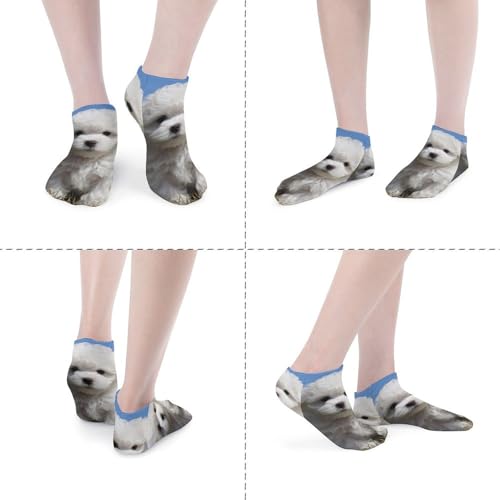Bichon Frise Dog Socks No Show Socks Low Cut Anti-Slid Athletic Casual Invisible Liner Socks Unisex4