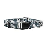 Littlearth Unisex Pet Team Collar - Dog Collar - Cat Collar, MD Team Color (320101-EAGL-M)