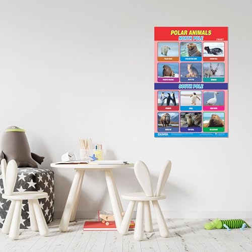 Image of ESCAPER Polar Animals Educational Charts for Kids Learning (11.5 x 17.5 inches), 300 GSM Paper Laminated, Self Adhesive Back, Learning Chart, Kids Study Material, Educational Posters