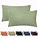 CALIYO Lot de 2 Housses de Coussin en Velours uni pour Coussin décoratif de canapé dans de Nombreuses Couleurs Vert Jade 30x50 CM