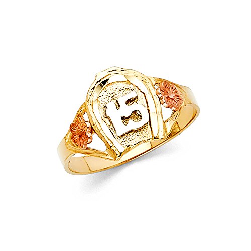 14k Yellow Gold Tricolor Sweet '15' Birthday Good Luck Charm Horseshoe High Polished Ring Solid