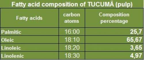 Paris Fragrances Tucuma Butter - 16 Oz - 100% Natural - Wholesale Price available - Extraction: Cold Pressed