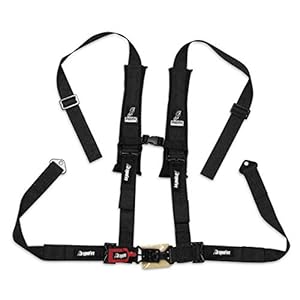 41iowhbpo8l. sl500 . ss300