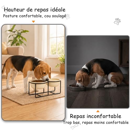 Gamelle chien surélevée céramique double beige 2x720ml