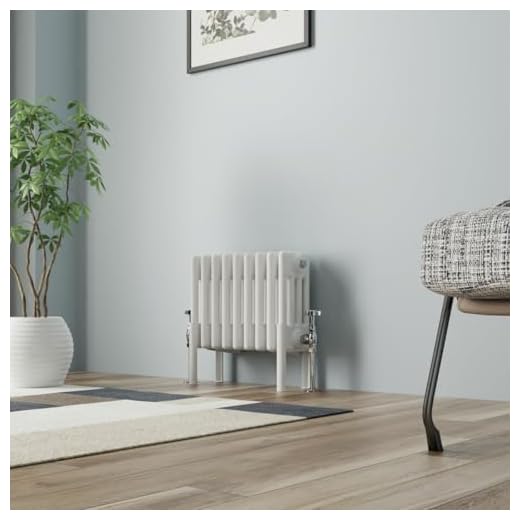 NRG Radiador de hierro fundido tradicional cuatro columnas 300x425mm Blanco Interior Diseñador Radiadores de baño