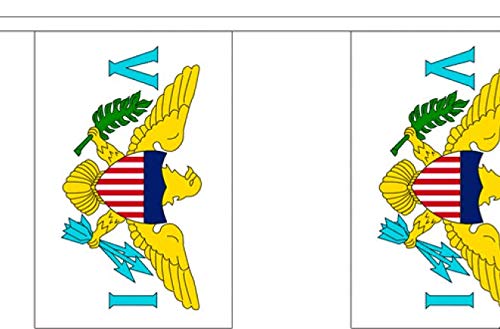 US Virgin Islands Bunting - 9 Metre Bunting - Polyester - 30 Flags Per 9M Length - FlagSuperstore
