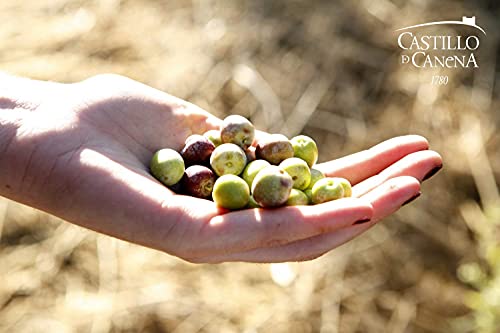 Castillo De Canena Extra Virgin Olive Oil (16.8 Fl. Oz.) Arbequina Cold-Pressed Purity | Rich, Bold Flavor Profile | Bread, Soup, Pasta, Salad Dressing, Vegetables | Spanish #TOP5
