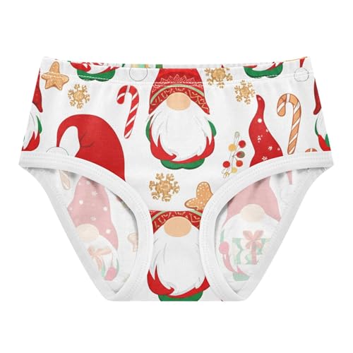 Cute Christmas Gnomes Girls Underwear Toddlers 2t Cotton Panties Little Girl Fancy Briefs Kids Undies