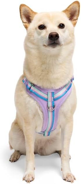YOULY by Petco Comfort Neoprene Dog Harness Lavender Small