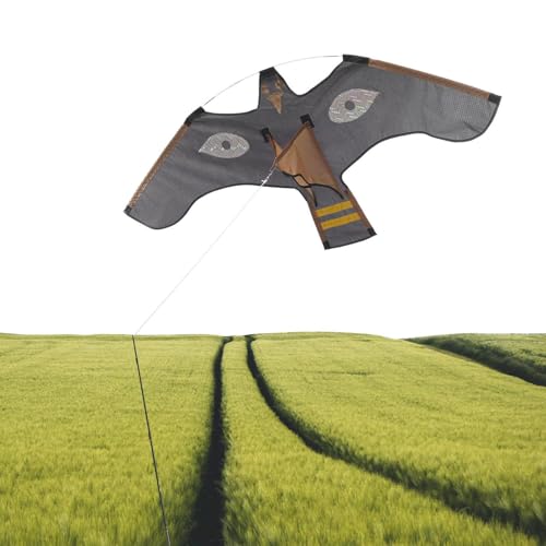 Cometa espantapájaros de dragón halcón reflectante para huertos y jardines 2
