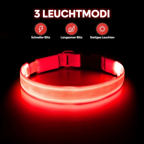 Illumifun Leuchthalsband Hund Aufladbar LED Hundehalsband Wasserdichtes Leuchthalsband für kleine und große Hunde, Hundelichter für nächtliche Spaziergänge (Rot, M)
