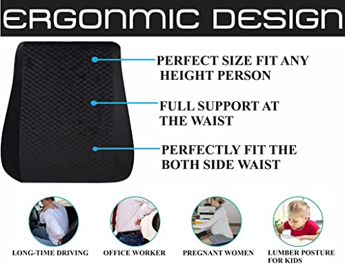 Image of ZAXTY Back Rest Lumbar Full Support for Chair Back Pillow for Car Best Use for Office Home Travel Cars Seat Provides Low Back Support Improves Posture Provides Comfort |Black|Universal