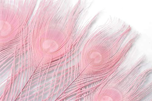 10-12 Inches Peacock Feathers, Dyeing Peacock Feather For Decorate Clothing, Hair, Cakes, Festive Weddings, Pack Of 30 (Pink) #TOP5