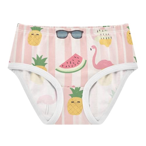 Wusikd Ice Cream Watermelon Girls' Underwear Cotton Pink Stripe Girls Briefs Soft Toddler Underwear 2T