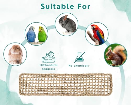 DS. DISTINCTIVE STYLE Tapete de alga marinha para pássaros, rede tecida de grama natural, acessórios