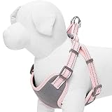 Contorno del pecho 45-53,5 cm, cuello 42-50,5 cm, correa del pecho 16 cm, talla S. La correa del pecho no es ajustable. Antes de comprarlo, mide bien el cuello y el pecho de tu perro. Para saber si el collar o el arnés están bien ajustados, asegúrate de que tu perro no pueda morderlos