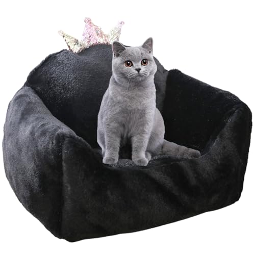 JUNENTER p\t@xbh Lp\t@ Lp ybgpQ ~ߒ ʋC \tg qpxbh ~ߒ L⏬^ɍœK qL qETM (O[A~fBA)