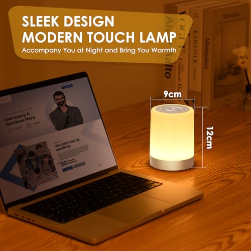 Auxmir Nachttischlampe Nachtlicht Touch Dimmbar, 3000mAh Tischlampe Kabellos USB Aufladbar mit 256 RGB Farben 5 Modi, Timing Funktion, LED Stilllicht Lampe für Kinder Deko Schlafzimmer Camping, Silber