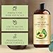 Handcraft Blends Avocado Oil - Cold-Pressed 16 Fl Oz - 100% Pure and Natural - Premium Grade Carrier Oil for Skin and Hair - Hair and Body - Massage - Hexane-Free
