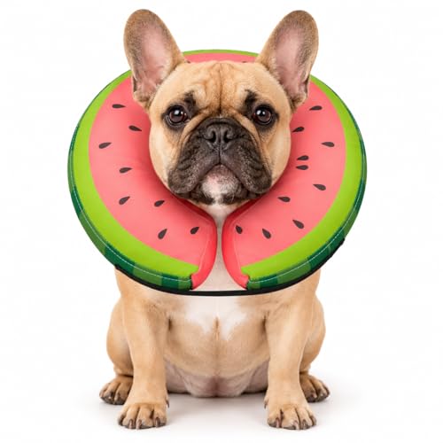 Image of MIDOG Inflatable Dog Cone After Surgery, Donut Collar for Medium Dogs, M