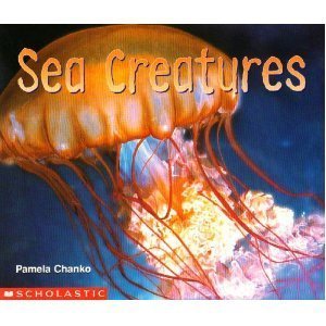 Sea creatures =: Criaturas marinas (Science eme... 0439411610 Book Cover
