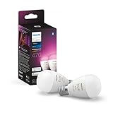 Philips Hue フルカラー 2個セット PH17WC2