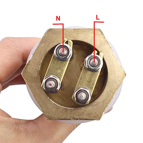 DERNORD 24V 600 W DC Tauchwasserheizelement Heizelement aus Edelstahl mit 1-1/4 Zoll 42MM Flansch BSP Messinggewindeanschluss Doppel U Typ