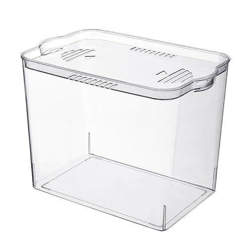 GhbunuzWtAeʁAPETfށASŖh vX`bNfށAnhfUCA (᳕t^ixj)