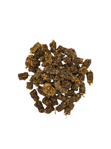 Dogvanture Buddy Snack 100% Pferd Würfel Mini 500 g | Monoprotein Hundeleckerli | Getreidefrei, Zuckerfrei, ohne künstliche Zusätze | Barf-inspiriert | Nicht bröselnd & Nicht fettend (Pferd)