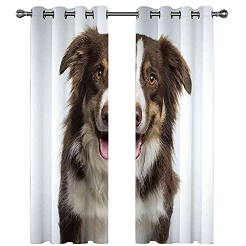 Rideau de chambre occultant isolant thermique modèle chien 3D