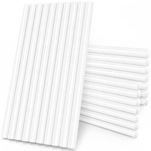 Siyothink O[XeBbN  24{ 11oa 20p ͔S O[Kti ڒ SXeBbN ŖL ͔S  ɗD pr DIYp |p vX`bNp ƋCp