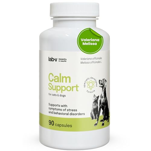 lab-v Calm Support Calmante para perros y gatos 90 Cápsulas, soporte conductual con valeriana para perros melissa y L-triptófano, tranquilizantes perros y gatos naturales para estrés, viajes y