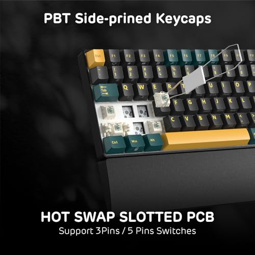 Image of RK ROYAL KLUDGE RK96 RGB Limited Ed, 90% 96 Keys Wireless 3-Mode BT5.0 /2.4G /USB-C Hot Swappable Mechanical Keyboard w /Wrist Rest, Volume Control, Software, Massive Battery, RK Viridian Switch