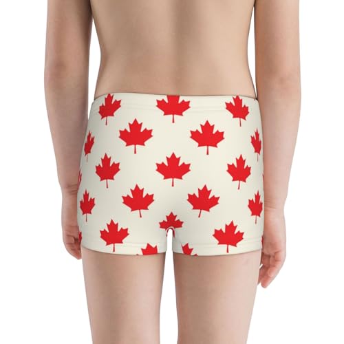 Boys' Cotton Boxer Brief Soft Underwear-Happy Canada Day3