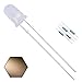 EDGELEC 100pcs 5mm Warm White Lights LED Diodes (White Lens) Diffused Round Top 29mm Long Feet (DC 3V) +100pcs Resistors (For DC 6-13V) Included/Bulb Lamps Light Emitting Diode