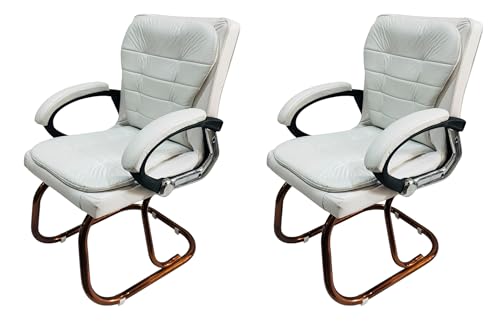 Image of GOYALSON Deluxe Cushioned Office Home Study Chair with Chrome Durable Frame and Cushioned seat Back (2, White, Copper Coated Double Pipe Frame)