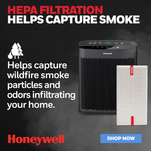 Honeywell Filter R True HEPA Replacement Filter - 3 Pack, HRF-R3 by Kaz