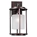 Forte 1252-01-32 One Light Outdoor Lantern, Antique Bronze