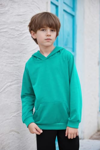 Image of Arshiner Unisex Kids Soft Pullover Hooded Sweatshirt with Pocket Basic Hoodies Sportswear Age 4-13 Years
