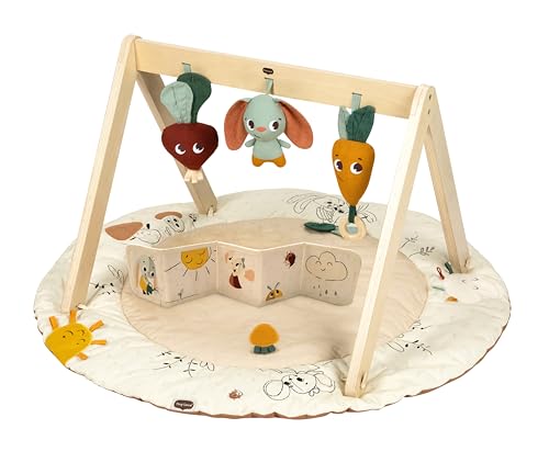 Tiny Love Gardens of Adventure, Luxe Developmental Gymini