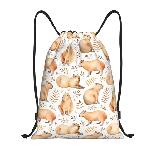 [MUZIZY] g[jOobO WTbN bN ibvTbN Jso В |GXe obNpbN X|[cobO [obO ̑ C sObY h y e ^ s jp S