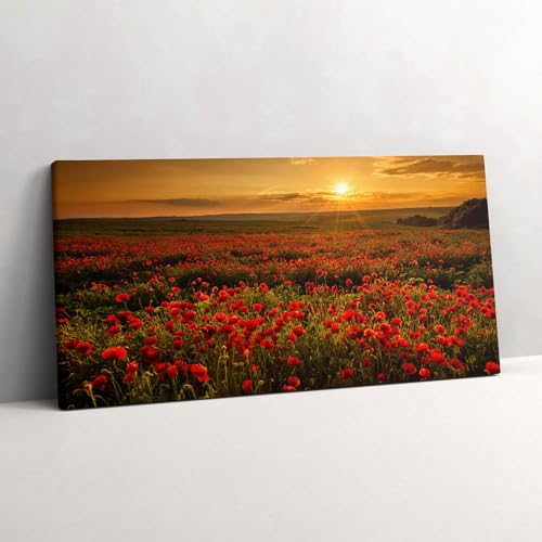 Tableau photo sur toile 120x60cm de prairie de coquelicots Wallfluent pour salon