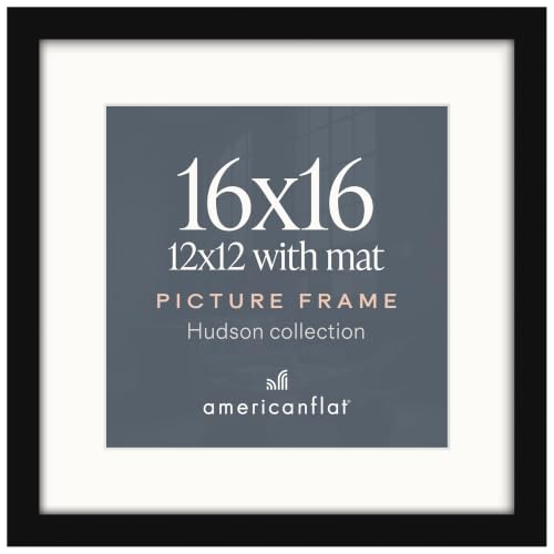 Americanflat 16x16 Picture Frame - Matted to 12x12 - Black