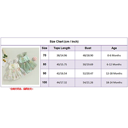 Rsrzrcj Baby Girl Lace Tulle Romper Dress Sleeveless Flower Embroidery Mesh Tutu Princess Dress Fluffy Brithday Photoshoot (Creamy Yellow, 12-18 Months) #TOP6