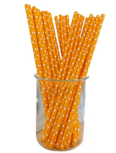 Sailozai ĝăXg[AJtA𐫁A500/1000 {̃Xg[ZbgAfU[ge[ȗANGCeBuȃACeAaAAp[eB[ɍœK (500,IWƔ̐ʖ͗l)