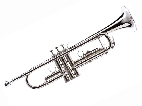 Hawk Wd-T312 Bb Trumpet With Case And Mouthpiece, Nickel Plated #TOP12